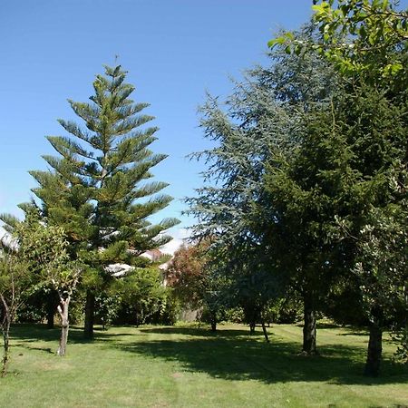 فيلا Vivienda Tradicional Con Jardin Y Patio Interior فيلانويفا دي أروسا المظهر الخارجي الصورة