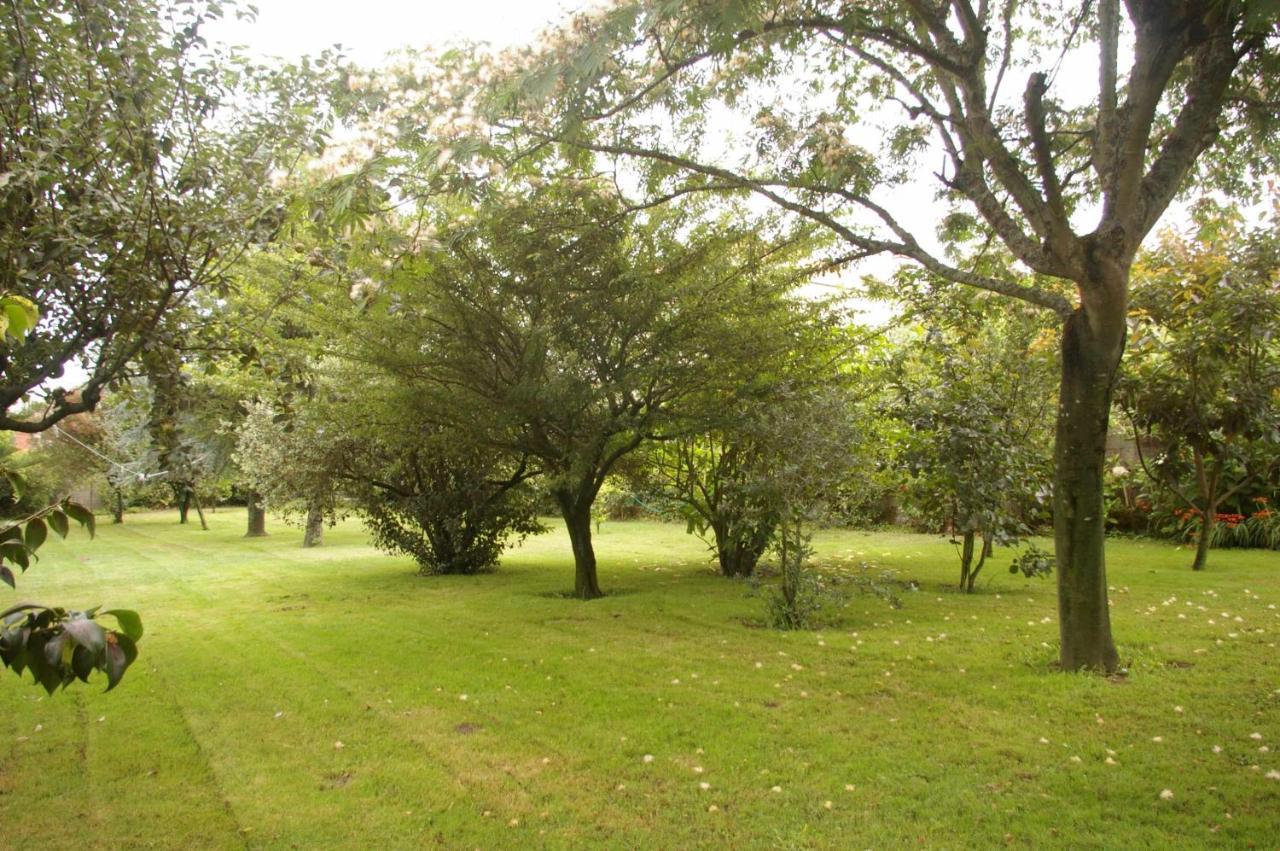 فيلا Vivienda Tradicional Con Jardin Y Patio Interior فيلانويفا دي أروسا المظهر الخارجي الصورة